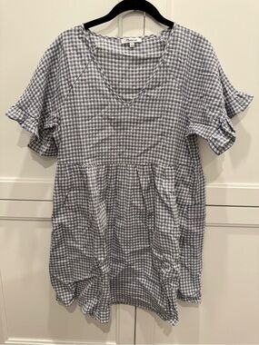 Madewell Blue Gingham Ruffle Sleeve Dress